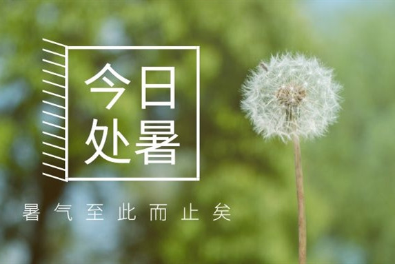 【衡陽通用電纜】處暑不是暑，秋涼知我意